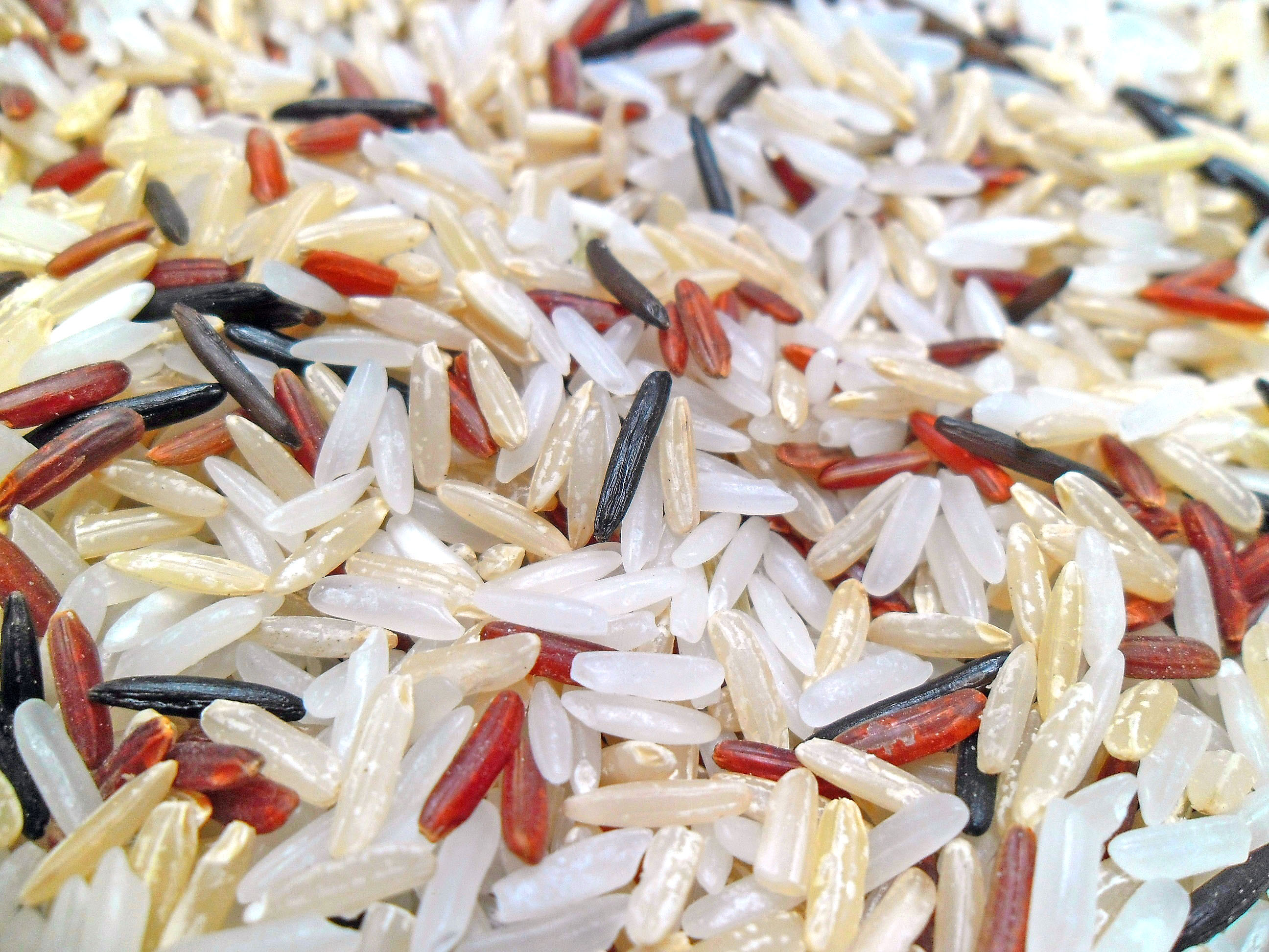 Arroz Branco Tipo 1 5kg